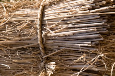 Bir yığın saman balyaları