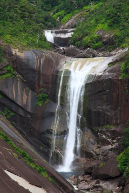 Ormanda güzel bir şelale