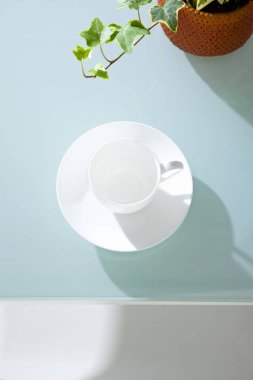 Saksı çiçeği, beyaz fincan ve açık mavi masa arkaplanındaki çay tabağı. 