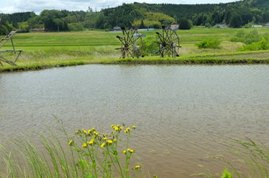 Japonya 'da kırsal alanda ve gölde eski paslı su tekerlekleri