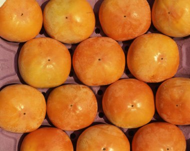 Mor tepside sıralanmış olgun hurma ağaçları.