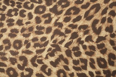 Leopar deseninin kumaş dokusu 
