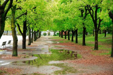 Bilbao şehrindeki güzel park