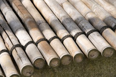 Yığılmış bambu direkleri çimenli zemin yüzeyinde yatıyordu.