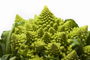Beyaz arka planda taze Romanesco lahanası 