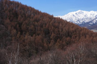 Karla kaplı dağlar ve ormanlarla kaplı güzel bir manzara.