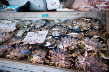 Markette bir sürü taze sashimi, yakın çekim.