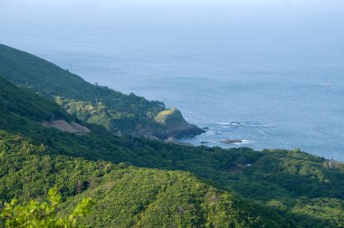 Güzel deniz manzarası ve yeşil bitki örtüsü 