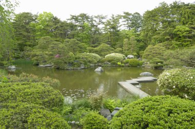Yeşil bitkileri ve göleti olan geleneksel Japon bahçesi 