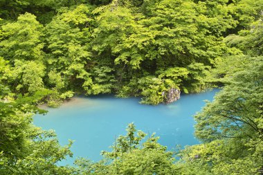 Hırvatistan 'daki plitvice gölleri, ulusal park