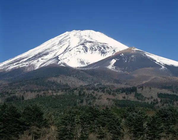 Fuji dağ zirvesi manzarası