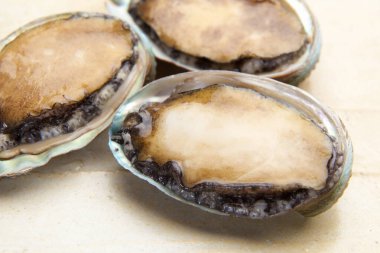 fırında deniz kulağı bifteği, deniz ürünleri yumuşakçaları, deniz ürünleri.