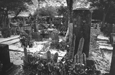 Parktaki eski taş mezarlığın manzarası