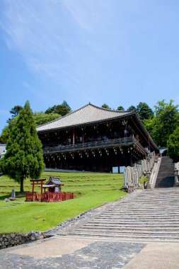 Yeşil ağaçlar ve taş basamaklarla çevrili geleneksel Japon tapınağı binası.