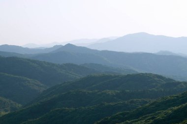 yemyeşil bitki örtüsüyle dağların güzel manzarası 