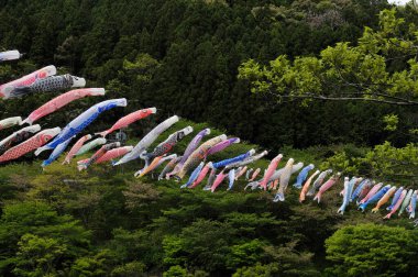 Sagamihara Festivali, Sazan Bayrakları Çelengi, Japonya 'da geleneksel etkinlik