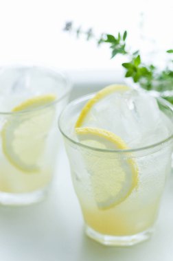 Buzlu limonata ve naneli.