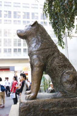 Hachiko Heykeli. Tokyo Shibuya İstasyonu 'ndaki Akita köpeğinin heykeli.. 