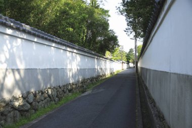 Uzun beyaz duvarlar arasında uzanan dar asfalt bir sokak.