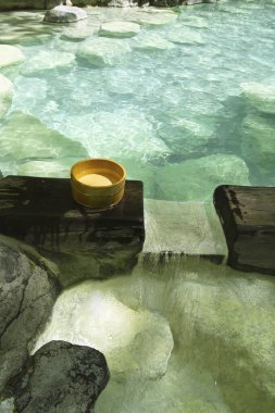 Güzel şelale ve ormanı göl 