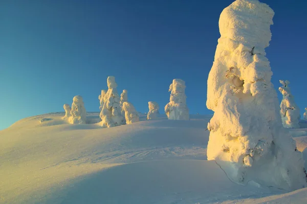 Όμορφο Χειμερινό Τοπίο Χιονισμένα Δέντρα Στα Βουνά Κατά Διάρκεια Του — Φωτογραφία Αρχείου