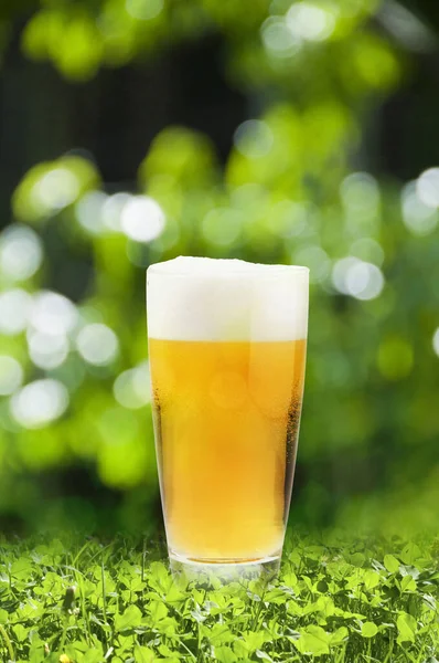 Glas Frisches Bier Auf Naturhintergrund — Stockfoto