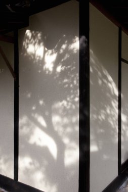 Japonya 'da güzel geleneksel Japon mimarisi