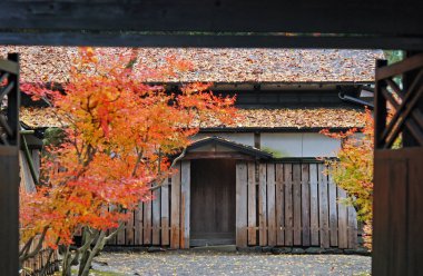 Güz yapraklı güzel Japon mimarisi 