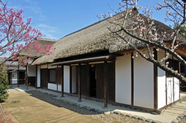 Japonya 'daki geleneksel Asya evi manzarası 