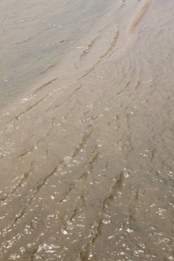 Sahilde su dalgaları