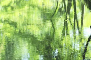 soyut yeşil su dokusu arkaplanı         