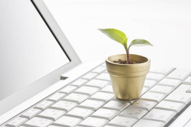 Beyaz arka planda yeşil bitkisi olan bilgisayar klavyesi.