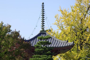 Japonya, Nara 'daki Kofuku-ji Tapınağı' nın Pagoda 'sı.