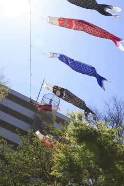 Park Plaza 'da sazan balığı. Osaka, Japonya