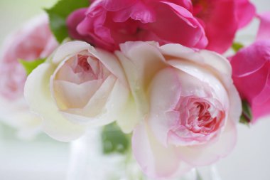 Güzel gül buketine yaklaş.