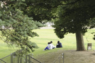 Şehir parkında yeşil çimlerde oturan bir grup genç.