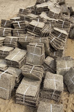 Topaklar dolusu çimenler kumlu zemine dizilmiş.