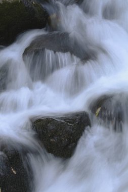 Japonya 'daki dağ ormanlarındaki güzel şelalenin manzaralı görüntüsü.