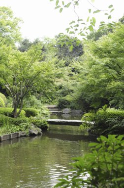 Gölün üzerinde köprüsü olan güzel bir park manzarası.