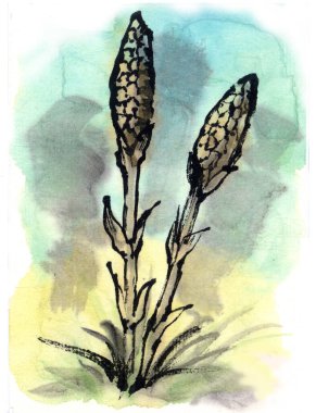 Bitkinin üzerine suluboya elle boyanmış resim 