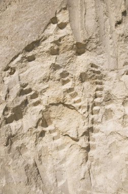 Güzel beyaz kum dokusunun yakın çekim görüntüsü.