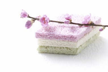 Daldaki güzel sakura çiçekleri 