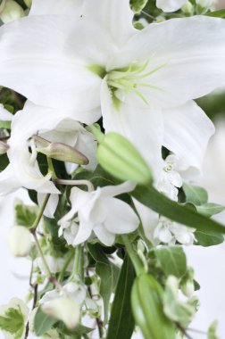 Güzel çiçek buketinin yakın plan görüntüsü.      