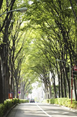 Yeşil ağaçlı ve yollu modern şehir manzarası   