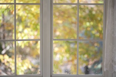 Sonbahar yapraklarının arka planına sahip güzel beyaz bir pencere çerçevesinin iç görünümü