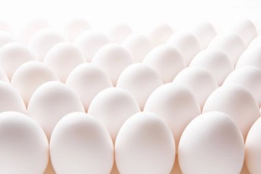 beyaz zemin üzerine beyaz yumurta