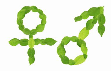 Yapraklardan yapılmış cinsiyet erkek ve dişi işareti