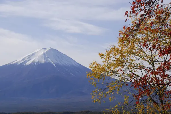 Bela Montanha Fuji Japão — Fotografia de Stock