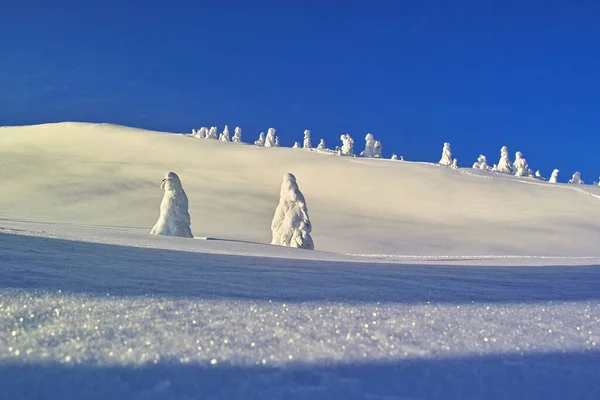 Inverno Nas Montanhas Bela Paisagem Inverno Com Árvores Cobertas Neve — Fotografia de Stock