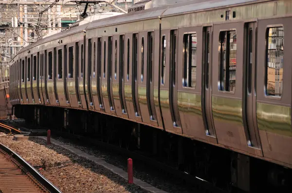 Modernt Tåg Rör Sig Över Hela Japanska Staden Dagtid — Stockfoto
